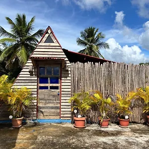 Coconut La Verita